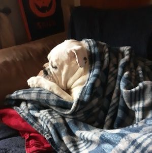 Meet your Posher, Rebecca